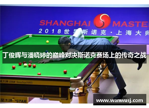 丁俊晖与潘晓婷的巅峰对决斯诺克赛场上的传奇之战