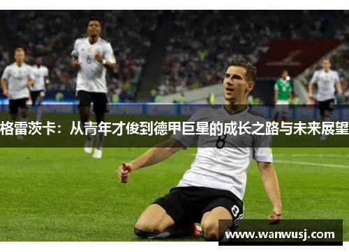 格雷茨卡：从青年才俊到德甲巨星的成长之路与未来展望