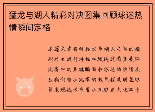 猛龙与湖人精彩对决图集回顾球迷热情瞬间定格